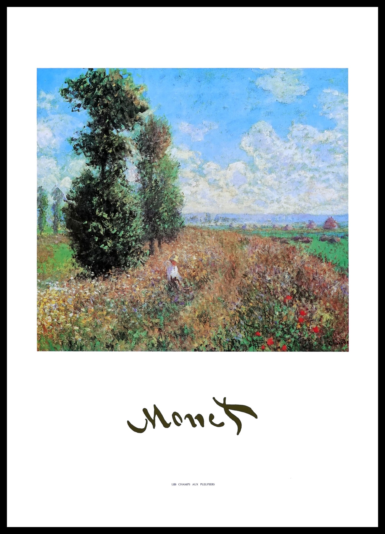 EGIM MONET-47